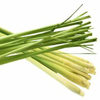 Lemongrass