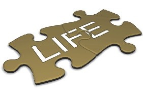 Life's Puzzle